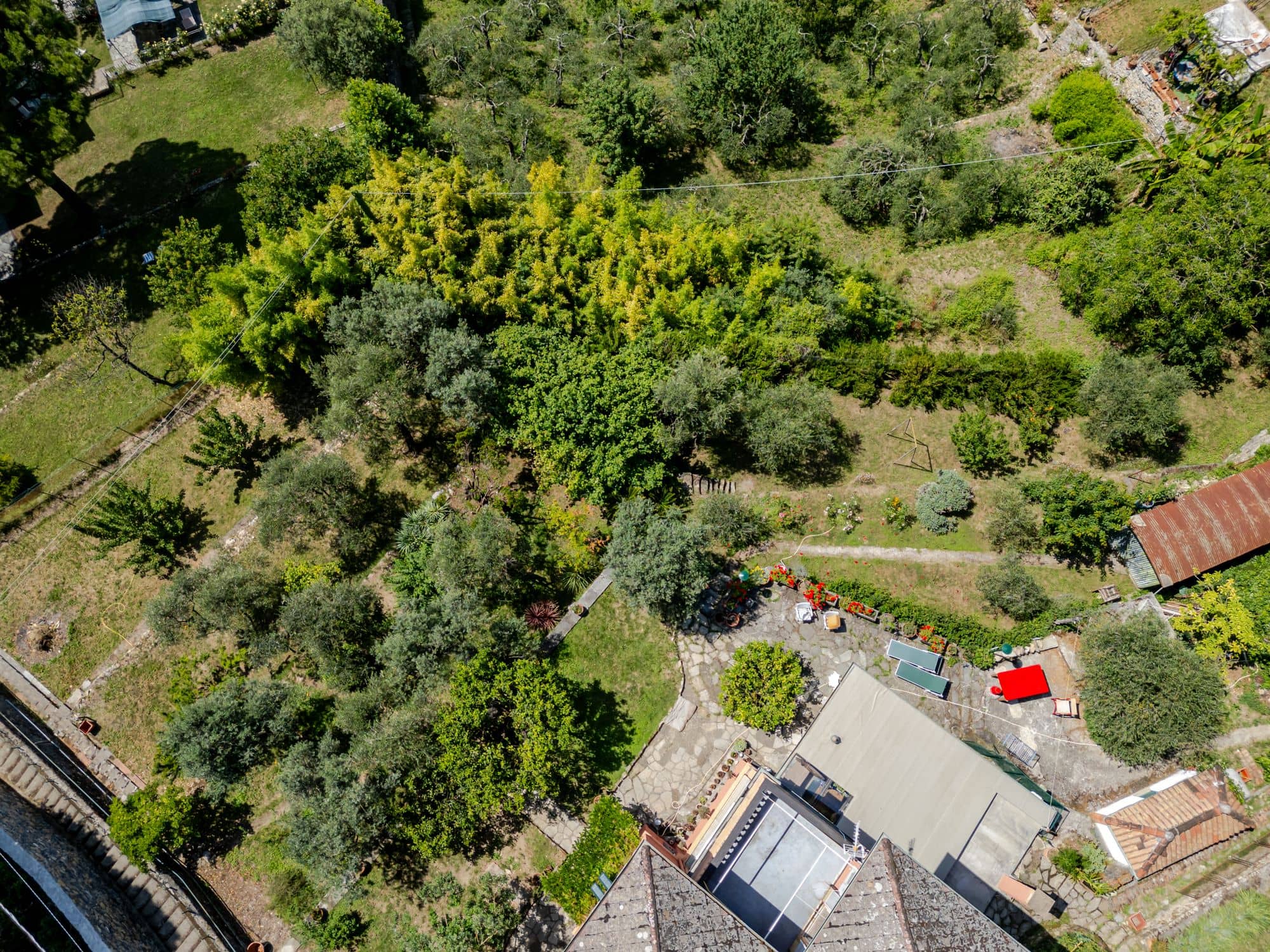 villa-ruta-di-camogli-esterni-(5)