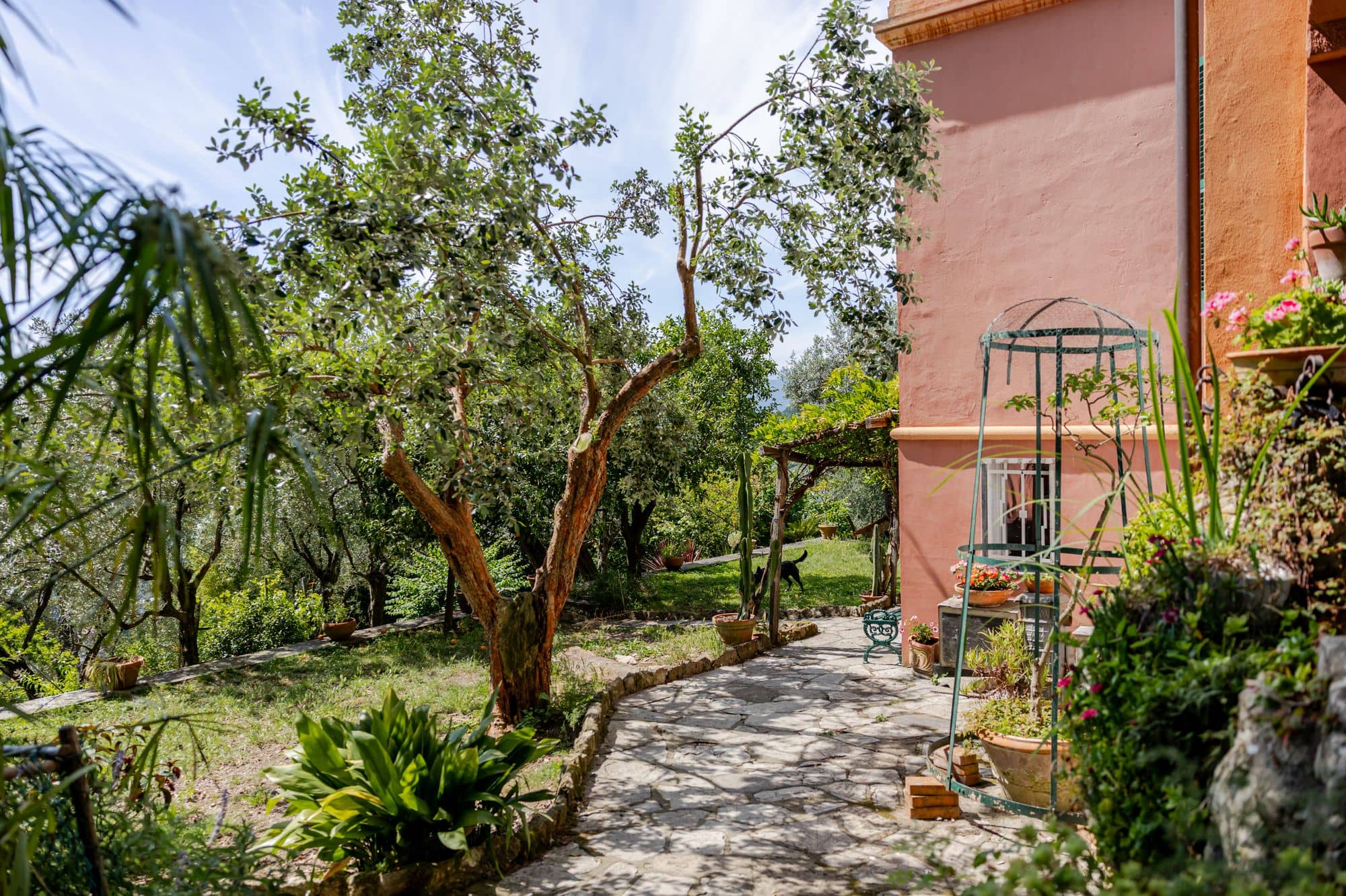 villa-ruta-di-camogli-esterni-(11)