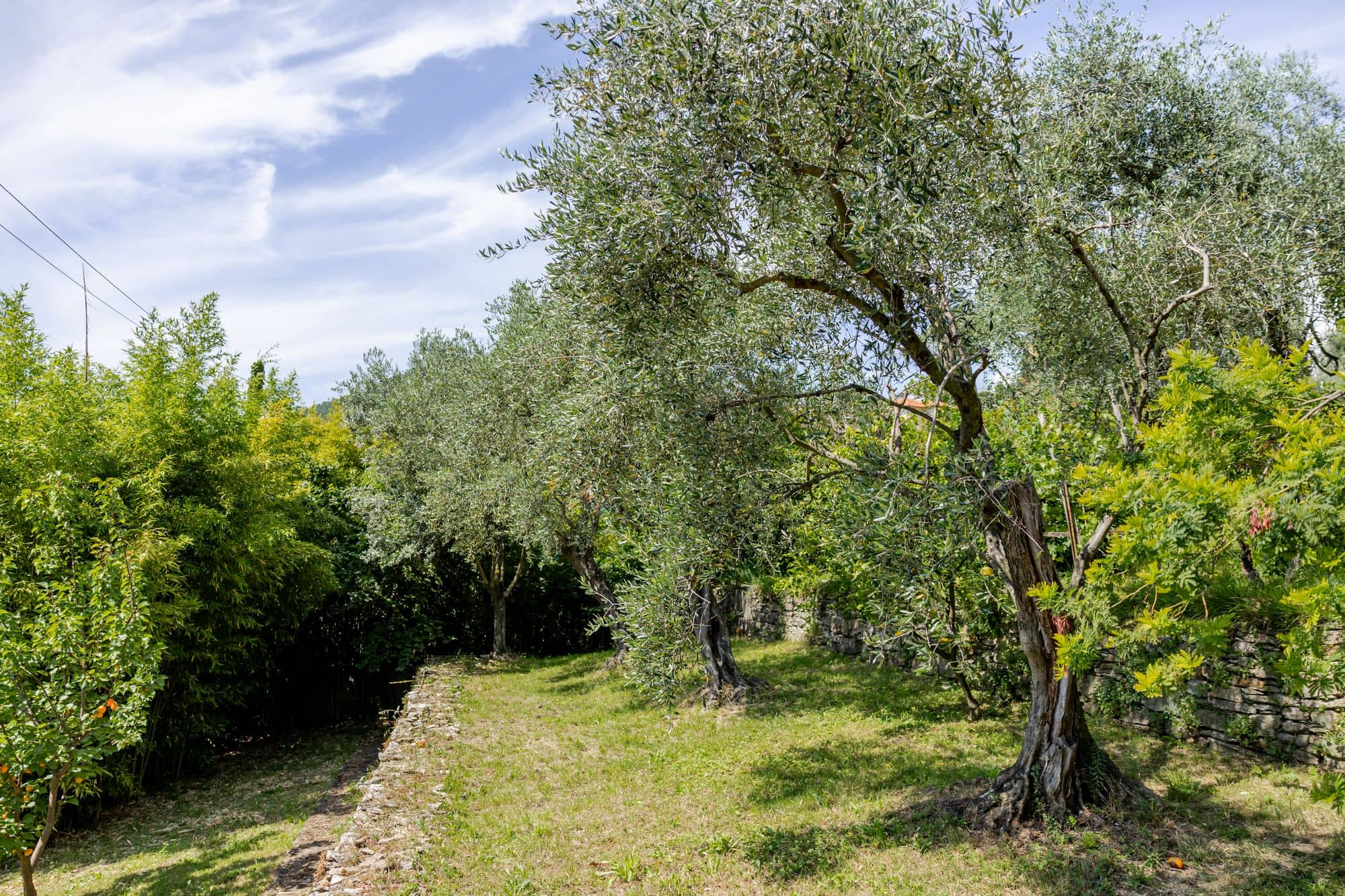 villa-ruta-di-camogli-esterni-(21)
