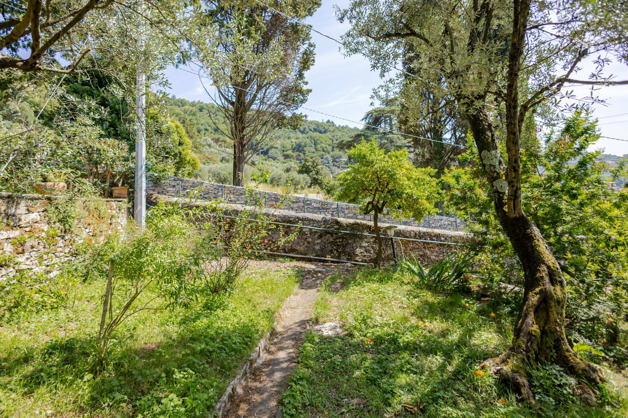 villa-ruta-di-camogli-esterni-(22)