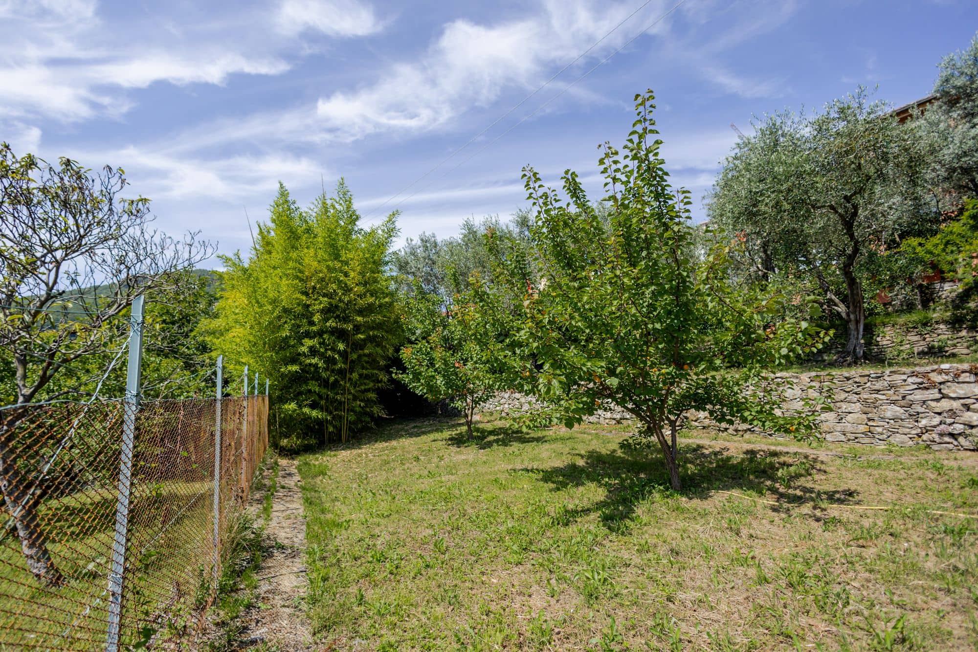 villa-ruta-di-camogli-esterni-(26)