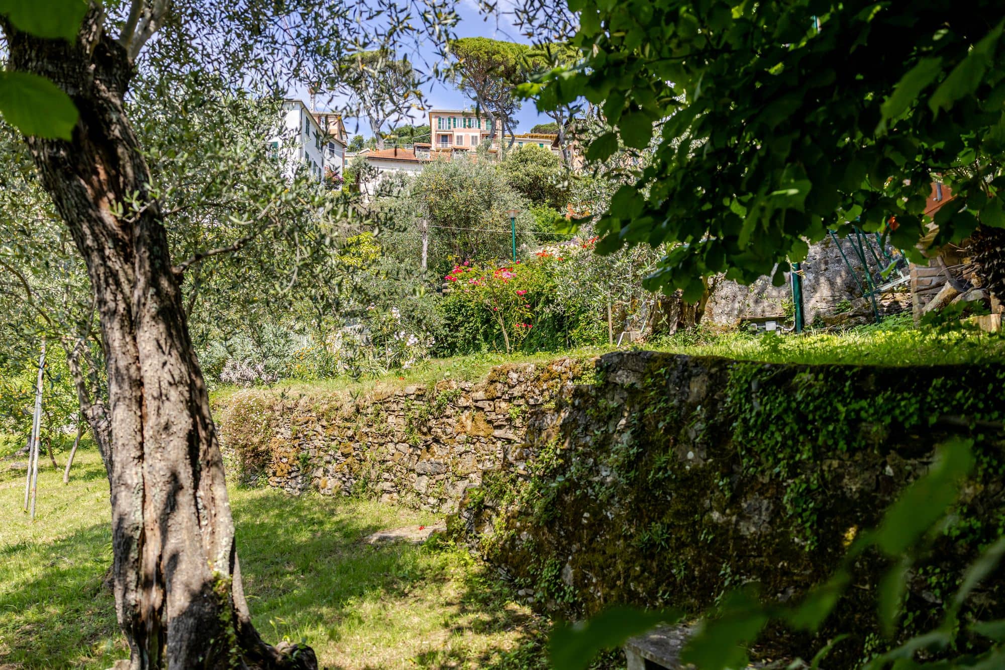 villa-ruta-di-camogli-esterni-(27)