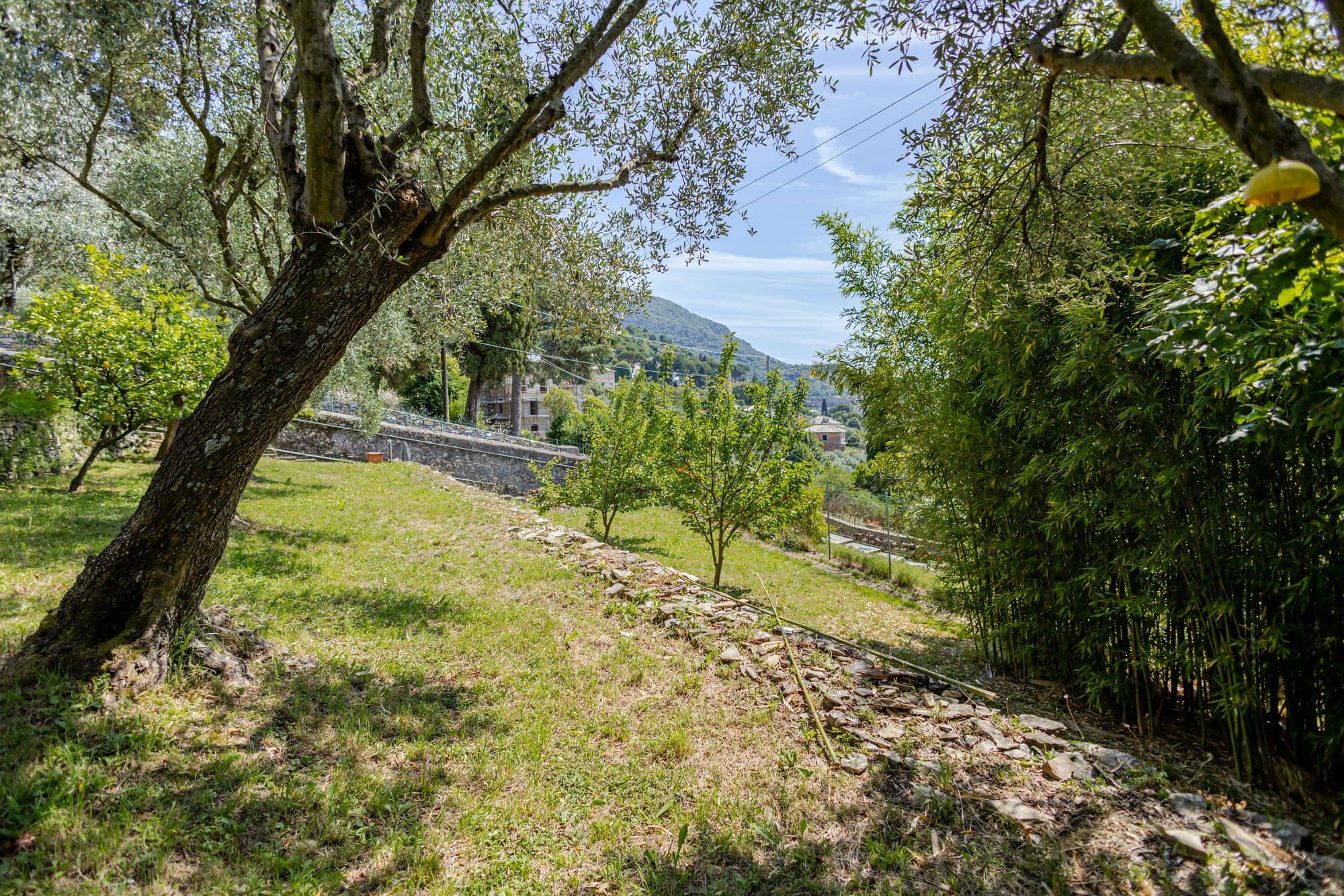 villa-ruta-di-camogli-esterni-(30)