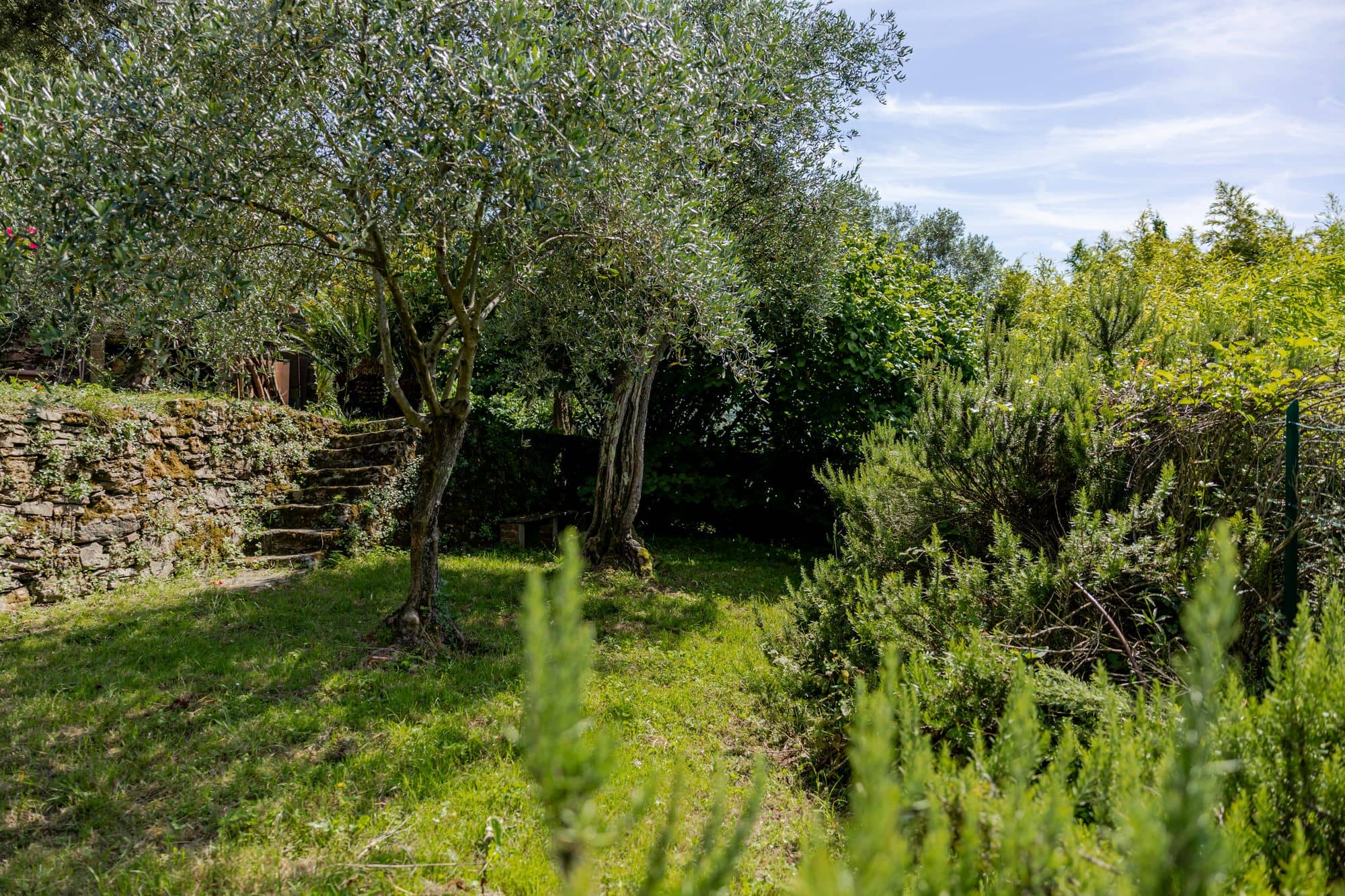 villa-ruta-di-camogli-esterni-(31)
