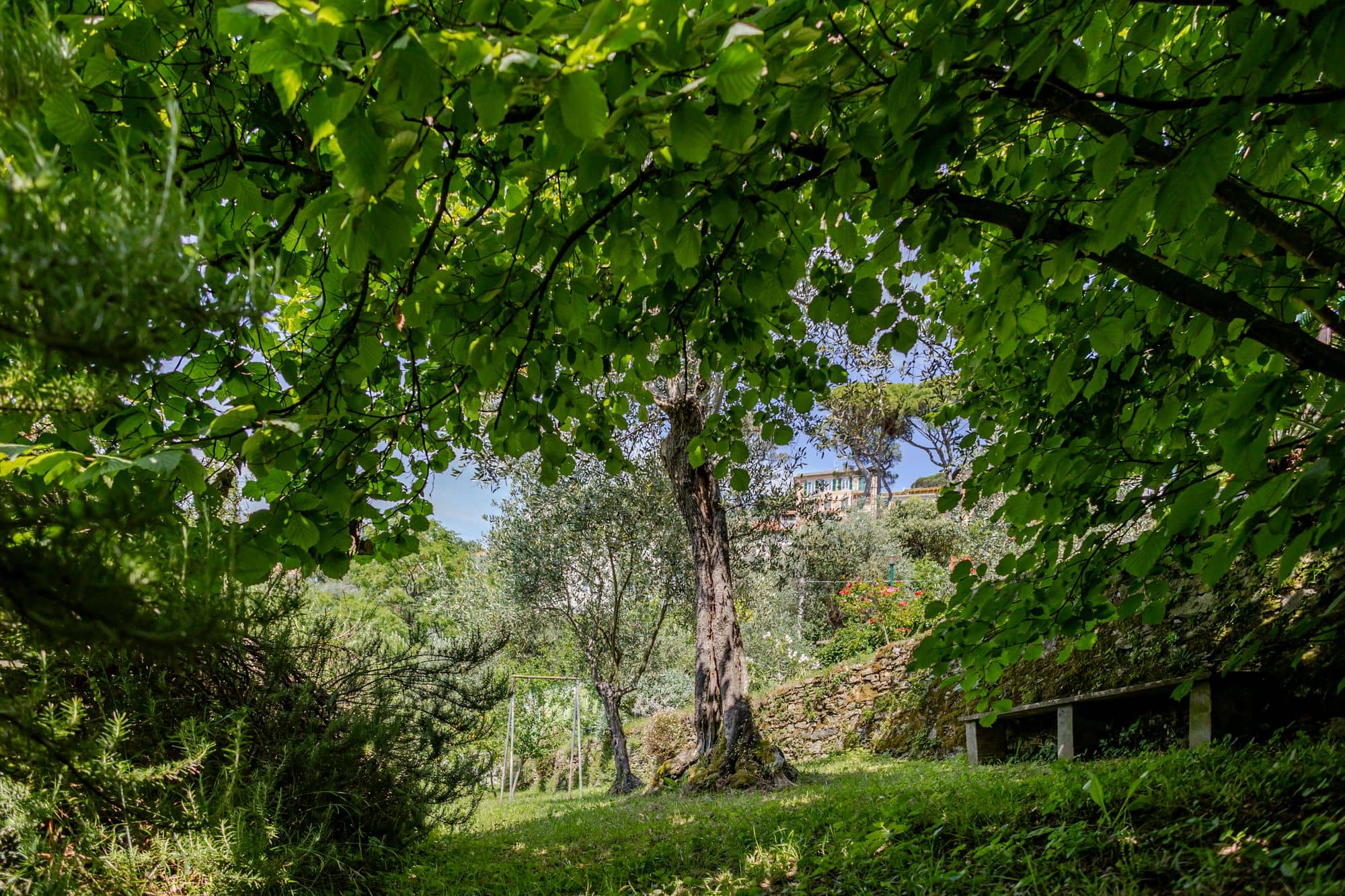 villa-ruta-di-camogli-esterni-(33)