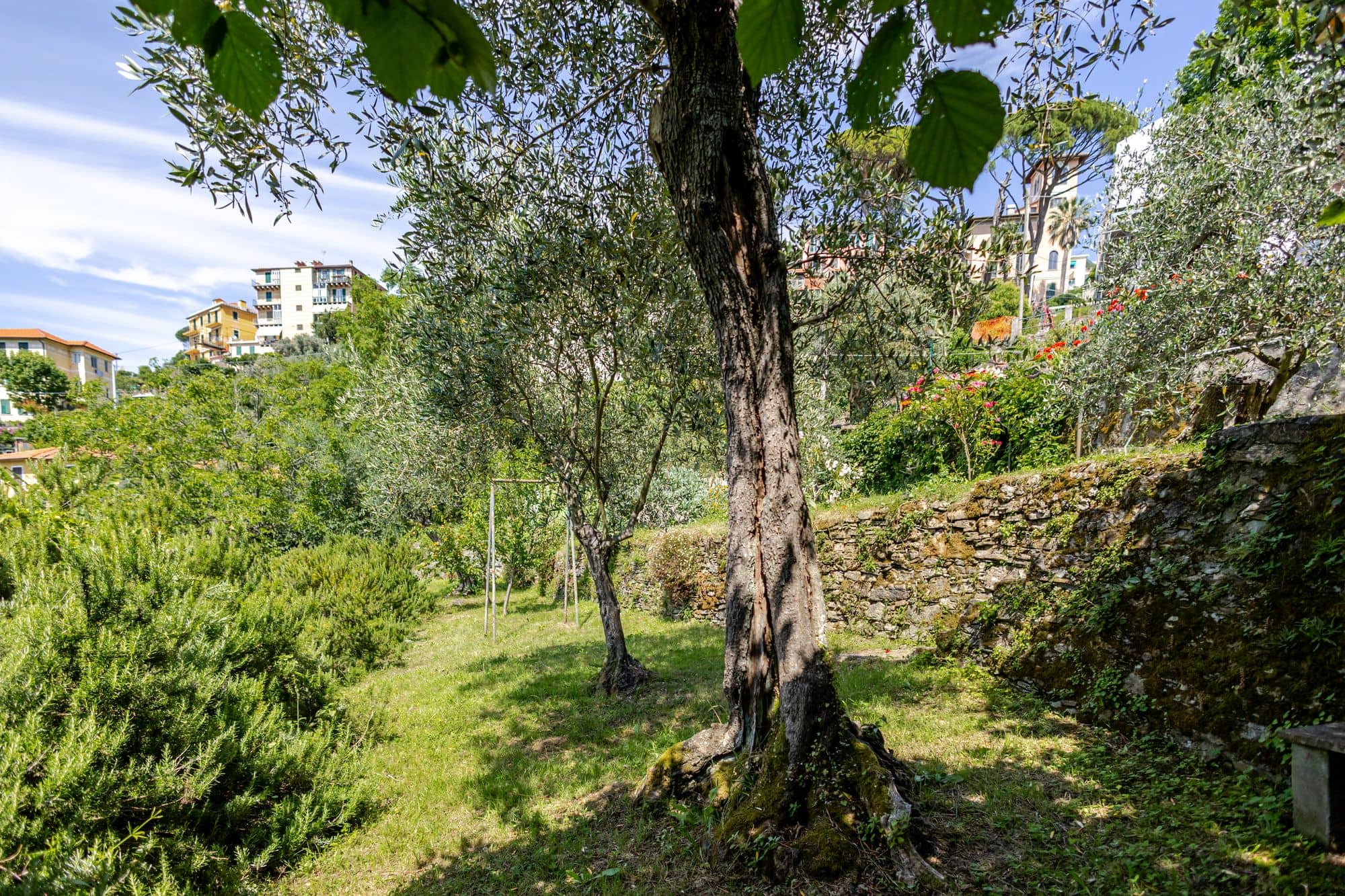 villa-ruta-di-camogli-esterni-(34)