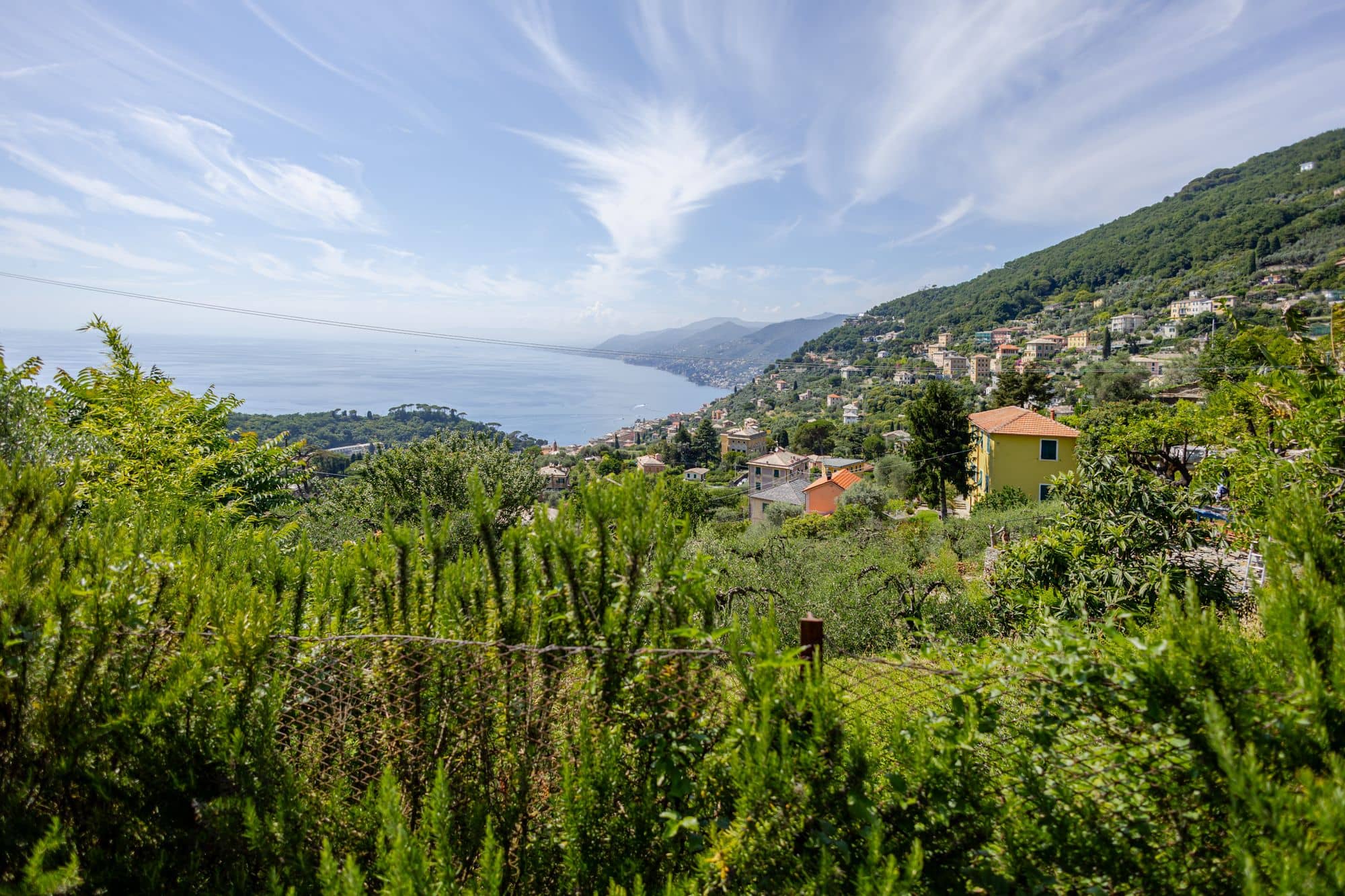 villa-ruta-di-camogli-esterni-(39)
