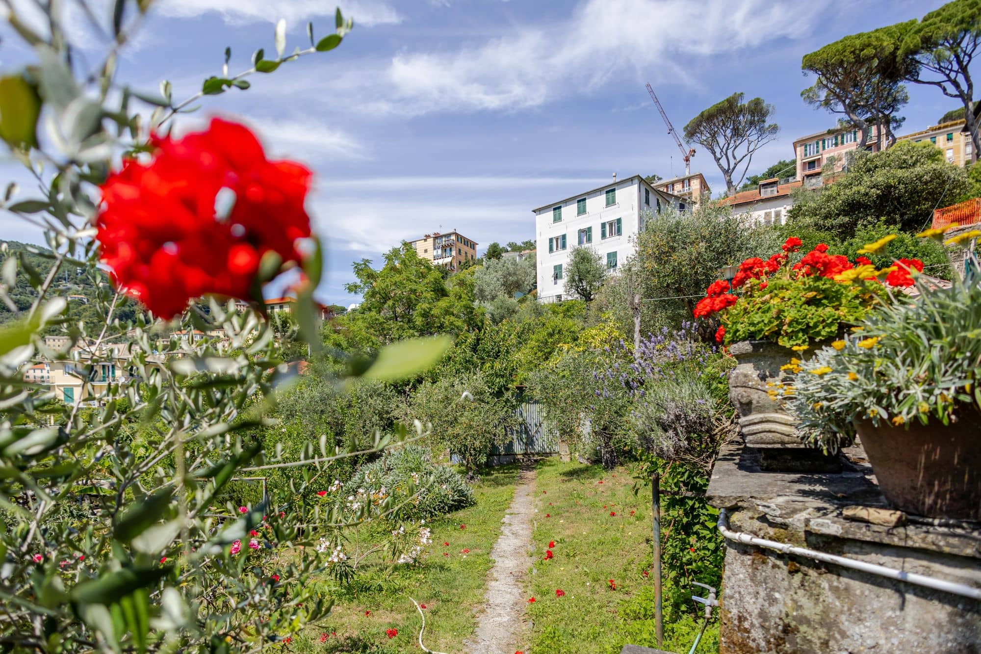villa-ruta-di-camogli-esterni-(43)