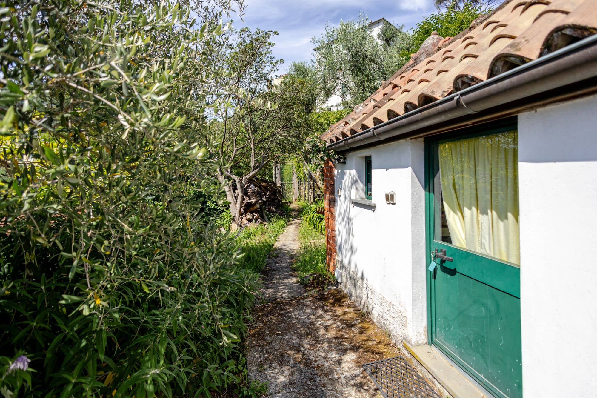 villa-ruta-di-camogli-esterni-(56)