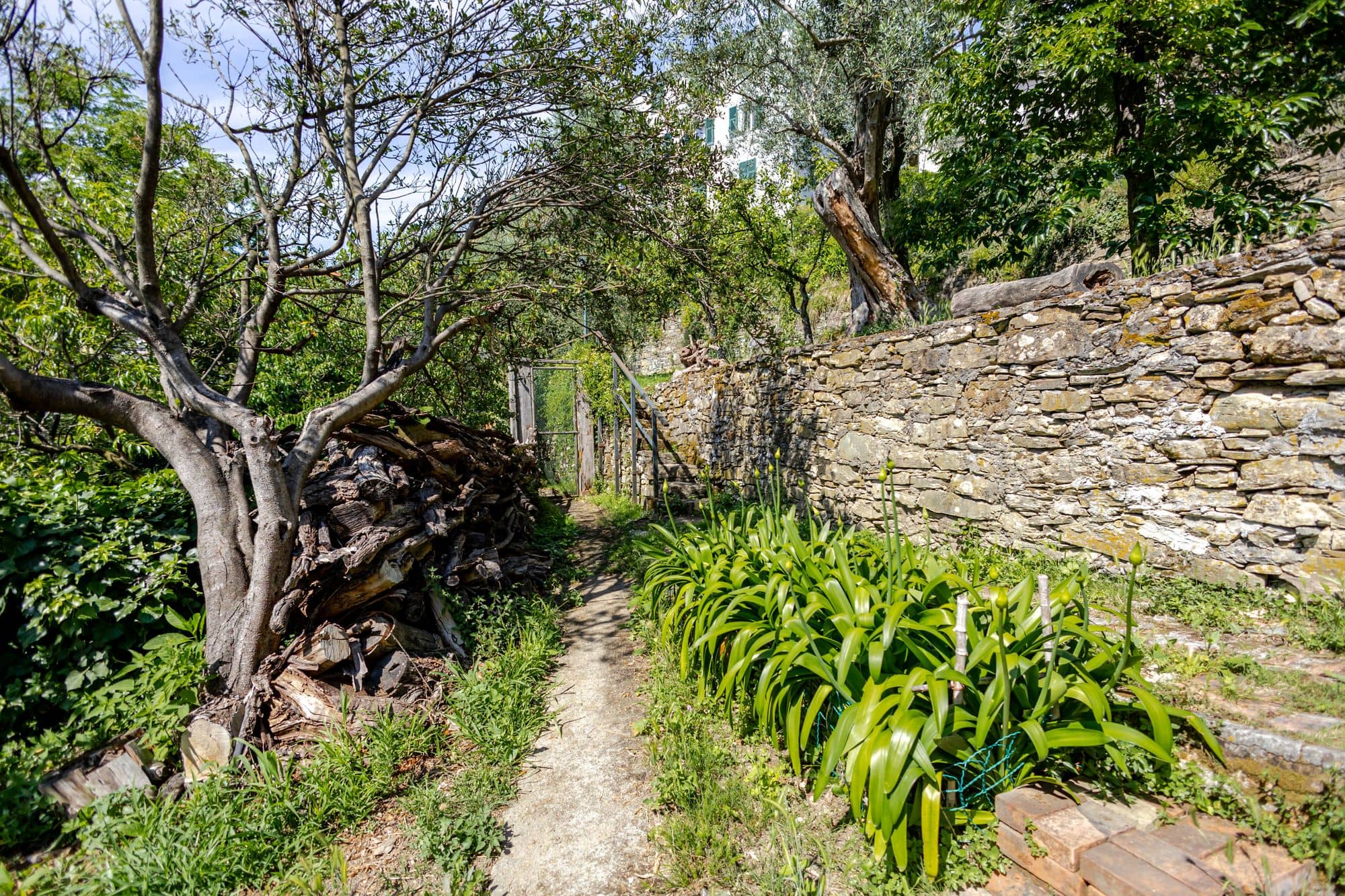 villa-ruta-di-camogli-esterni-(57)