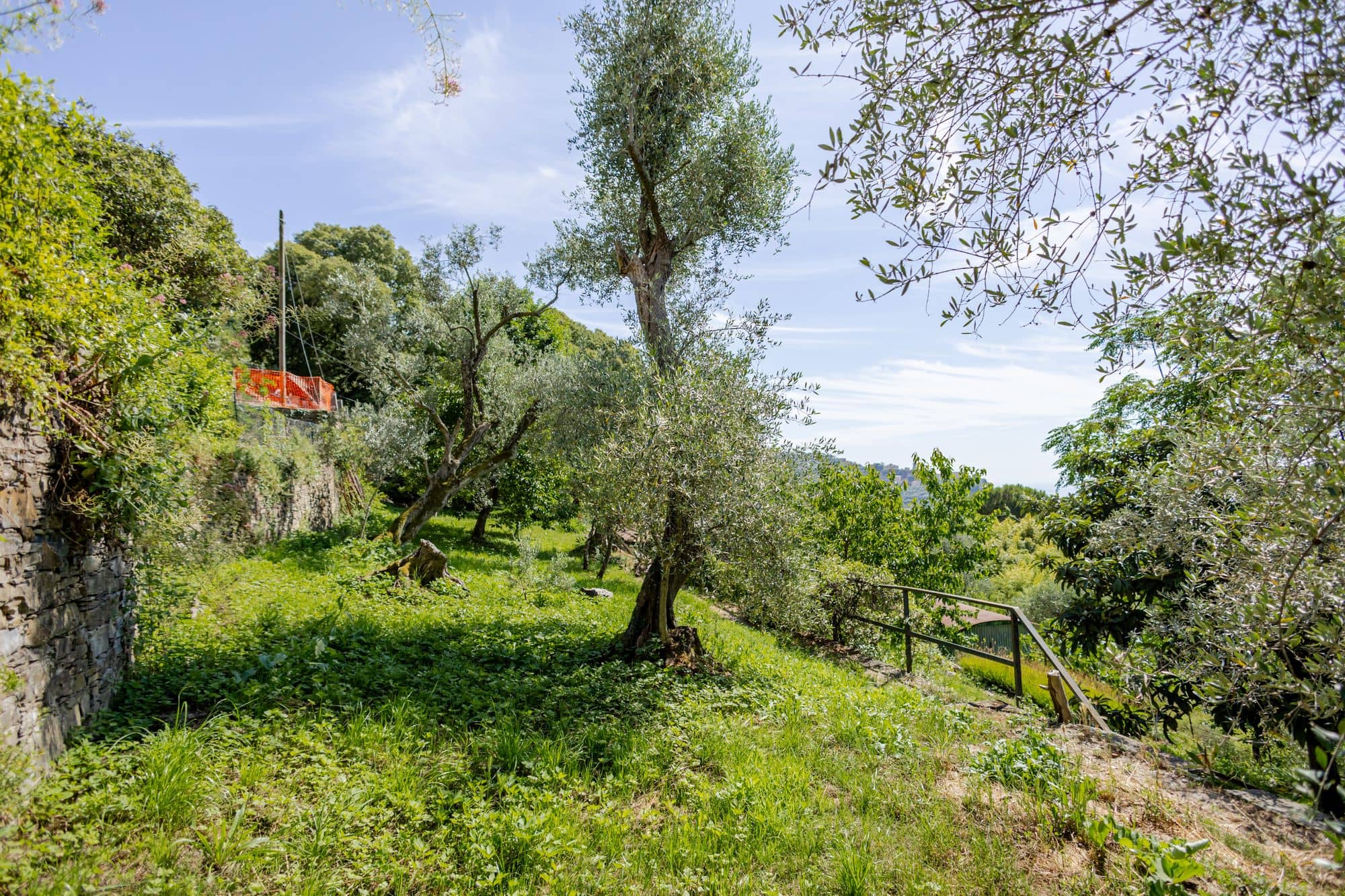 villa-ruta-di-camogli-esterni-(60)